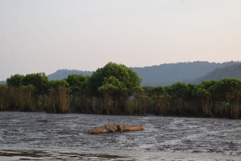 Maldoli: Ride to a quaint Konkan village