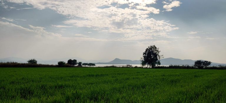 An evening at Gangapur dam