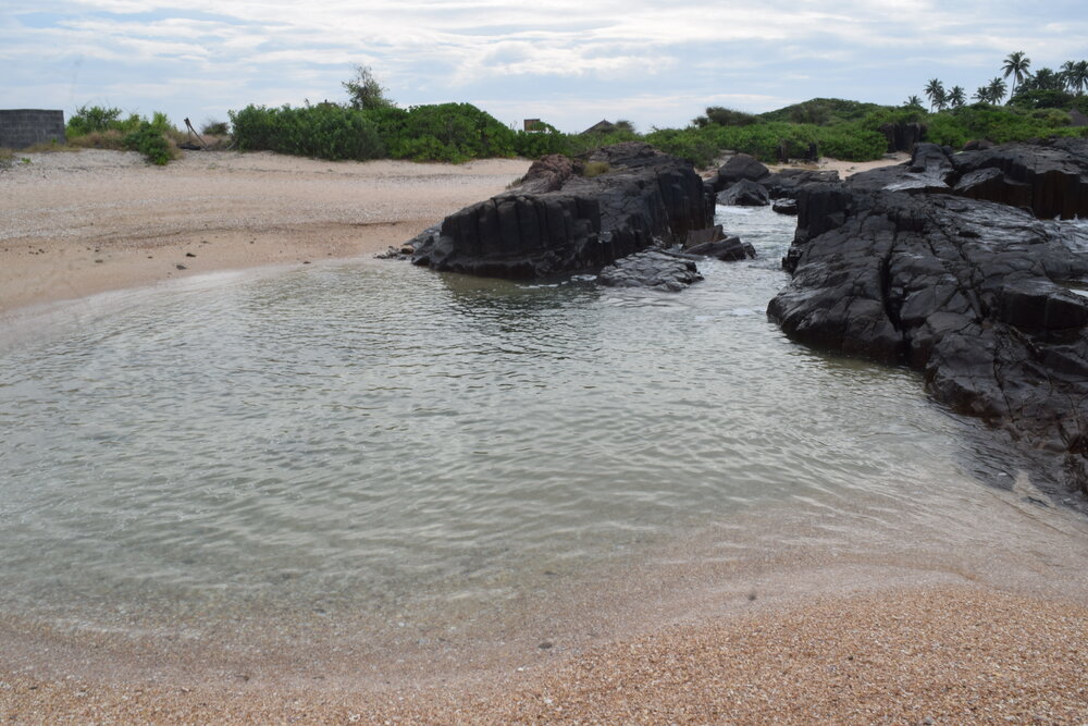 dsc_0219-jpg