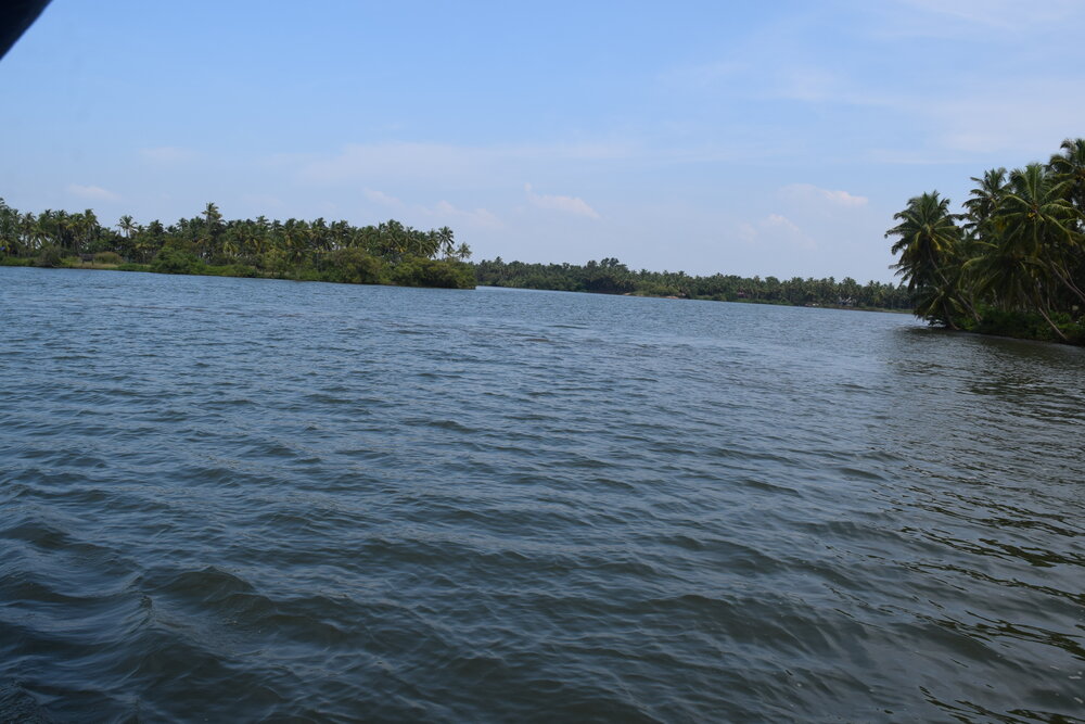 valyaparamba-backwaters