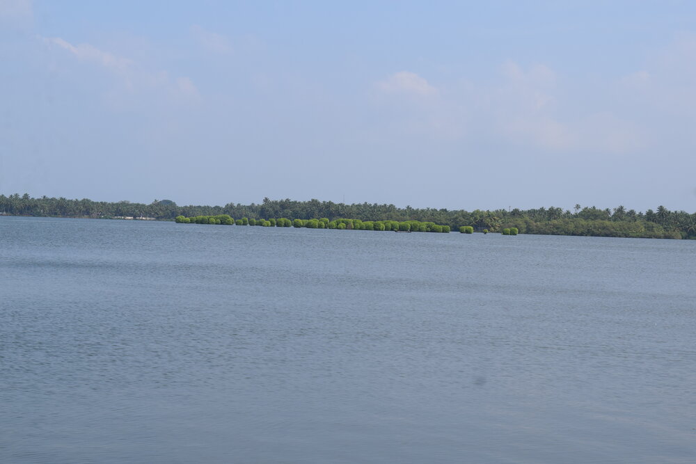 valyaparamba-backwaters-2